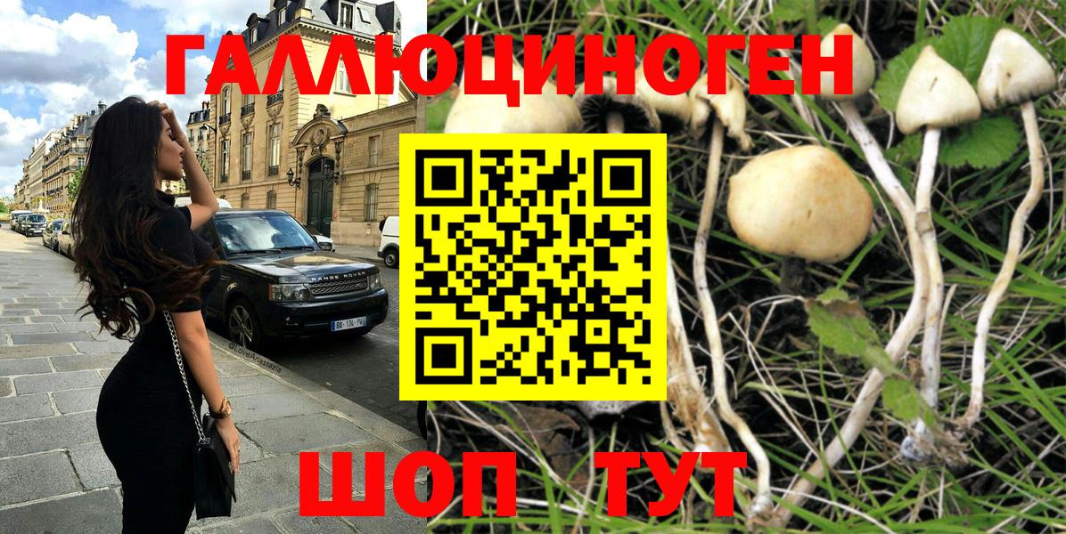 Псилоцибиновые грибы прущие грибы  Галлюциногенные грибы мухоморы  Вышний Волочёк  Вход с VPN 