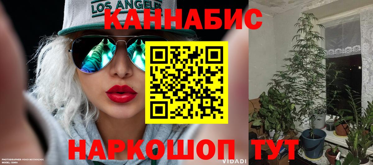Вышний Волочёк  Марихуана Ganja  Вход с VPN  Канабис Amnesia 